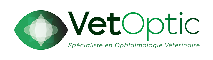 logo vetoptic
